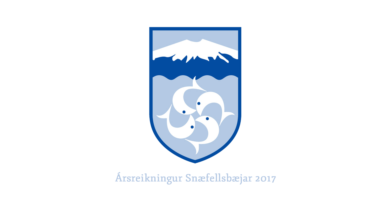 Ársreikningur 2017