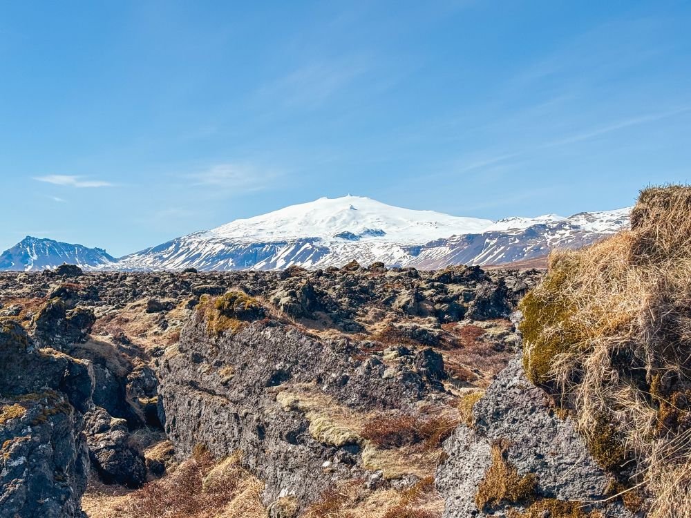 Bæjarstjórnarfundur 14. nóvember 2024