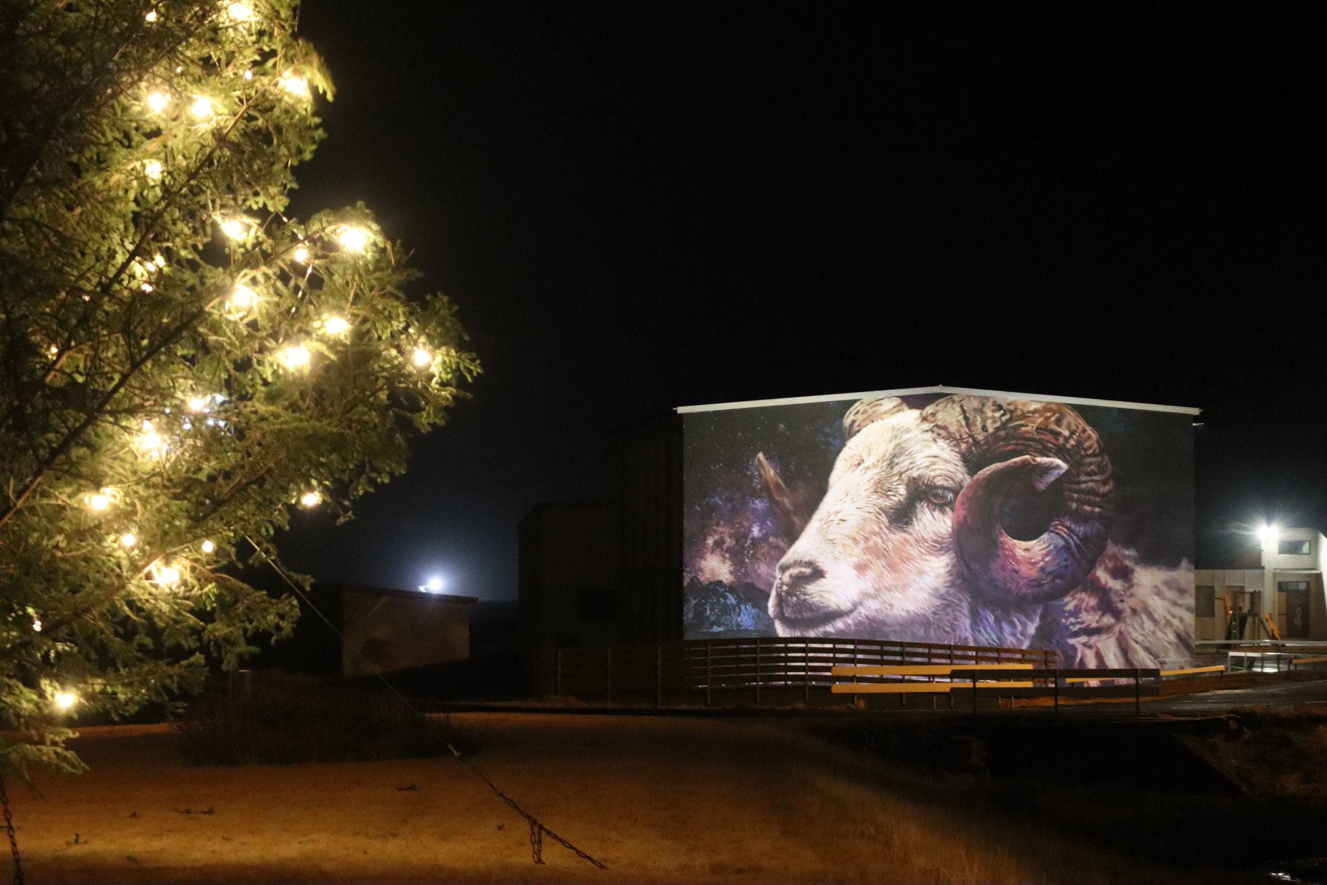 Jólaljós tendruð með óhefðbundnu sniði