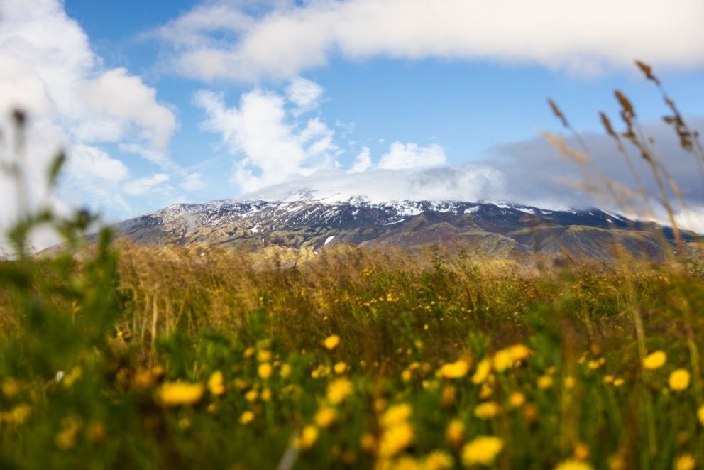 Sumarstörf hjá Snæfellsbæ - umsóknarfrestur framlengdur