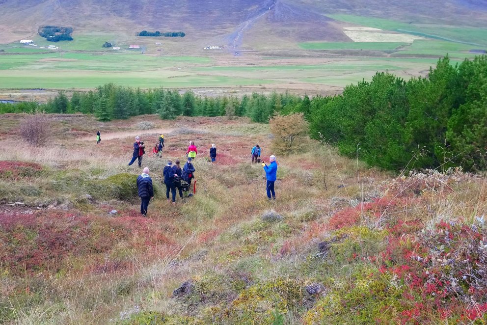Félög og félagasamtök geta hlotið styrk til gróðursetningar