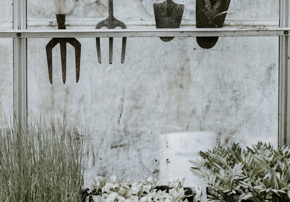 Snæfellsbær auglýsir starf garðyrkjufræðings laust til umsóknar