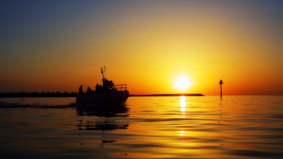 320. fundur bæjarstjórnar