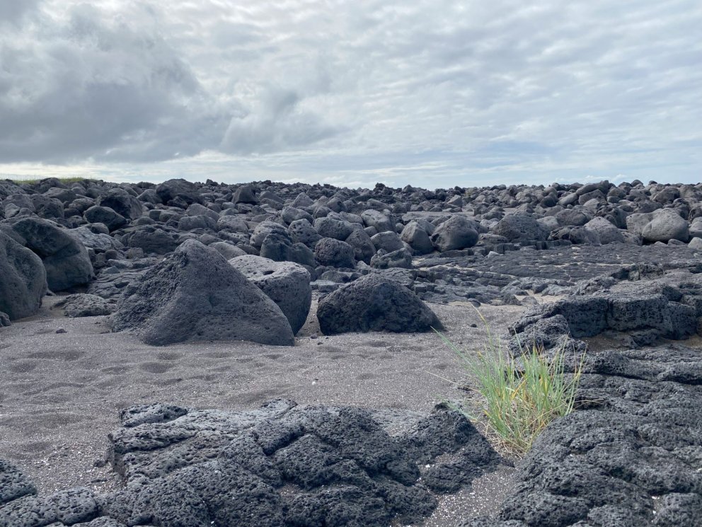 Áhrif verkfallsaðgerða og staða viðræðna milli BSRB og Sambands íslenskra sveitarfélaga