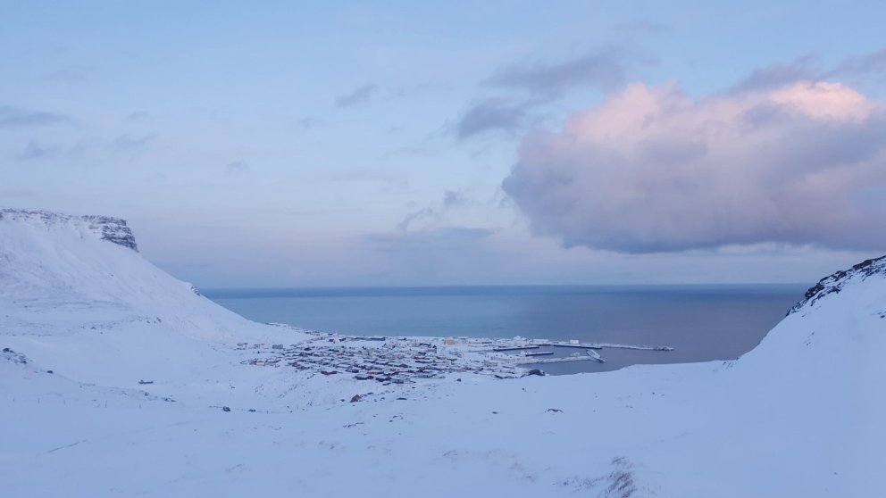 COVID-19: Informacje