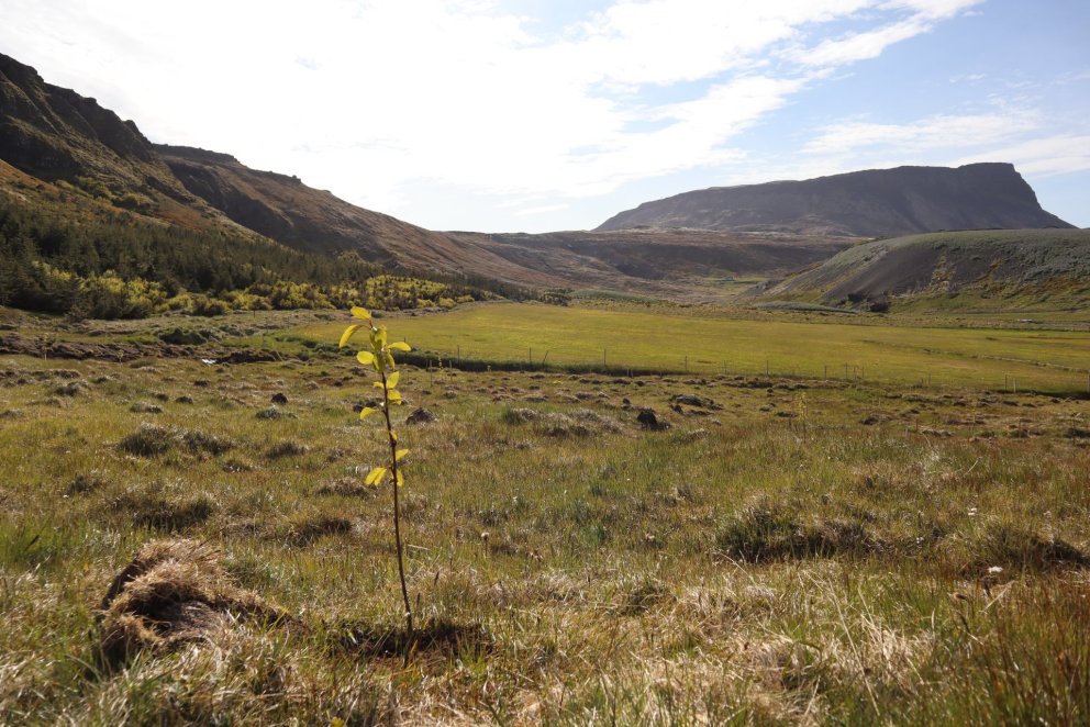 Óskað eftir umsóknum í vinnuskóla sumarið 2020