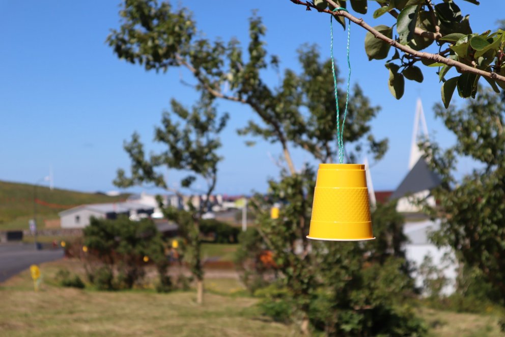 Undirbúningsfundur fyrir Fjölmenningarhátíð