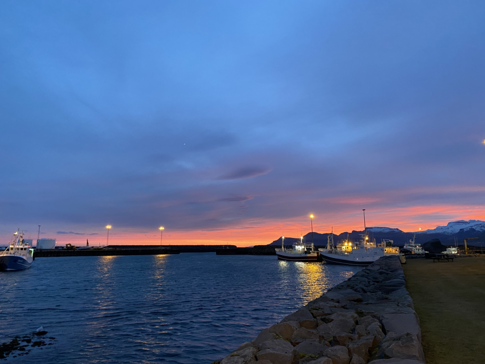 Bæjarstjórnarfundur 12. nóvember 2020