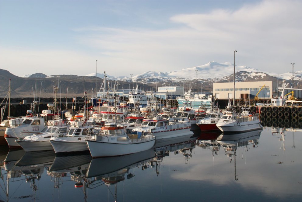 Auglýst eftir tveimur sumarstarfsmönnum við Hafnir Snæfellsbæjar