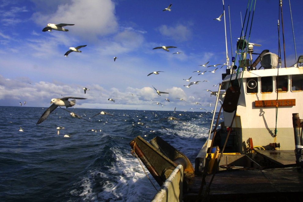 Sjómannadagshelgin 2019