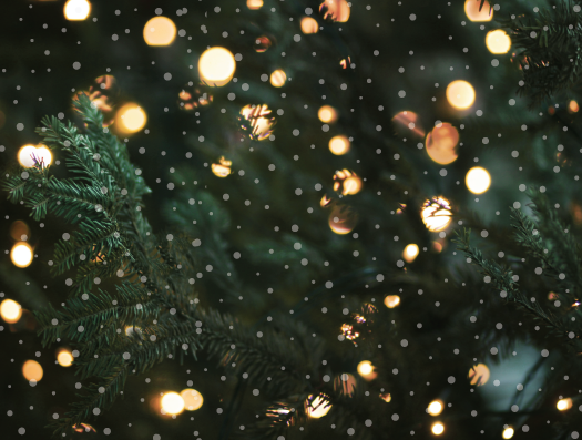 Jólaljós tendruð sunnudaginn 3. desember