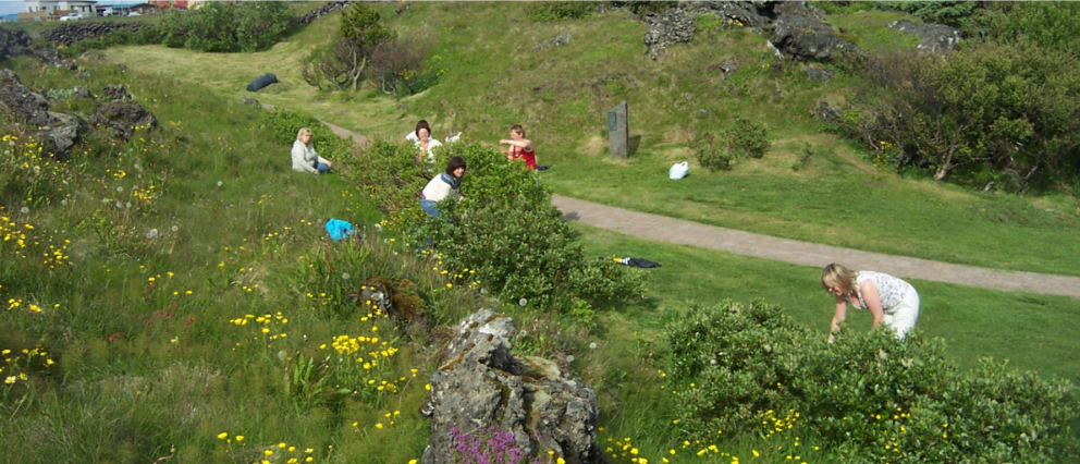 Umgengni ábótavant í Tröð á Hellissandi