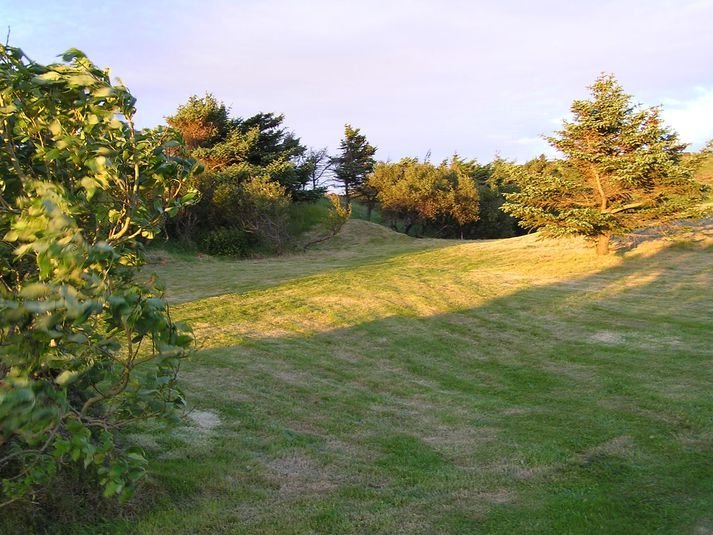 Aðalfundur Skógræktar- og landverndarfélags undir Jökli á sunnudag