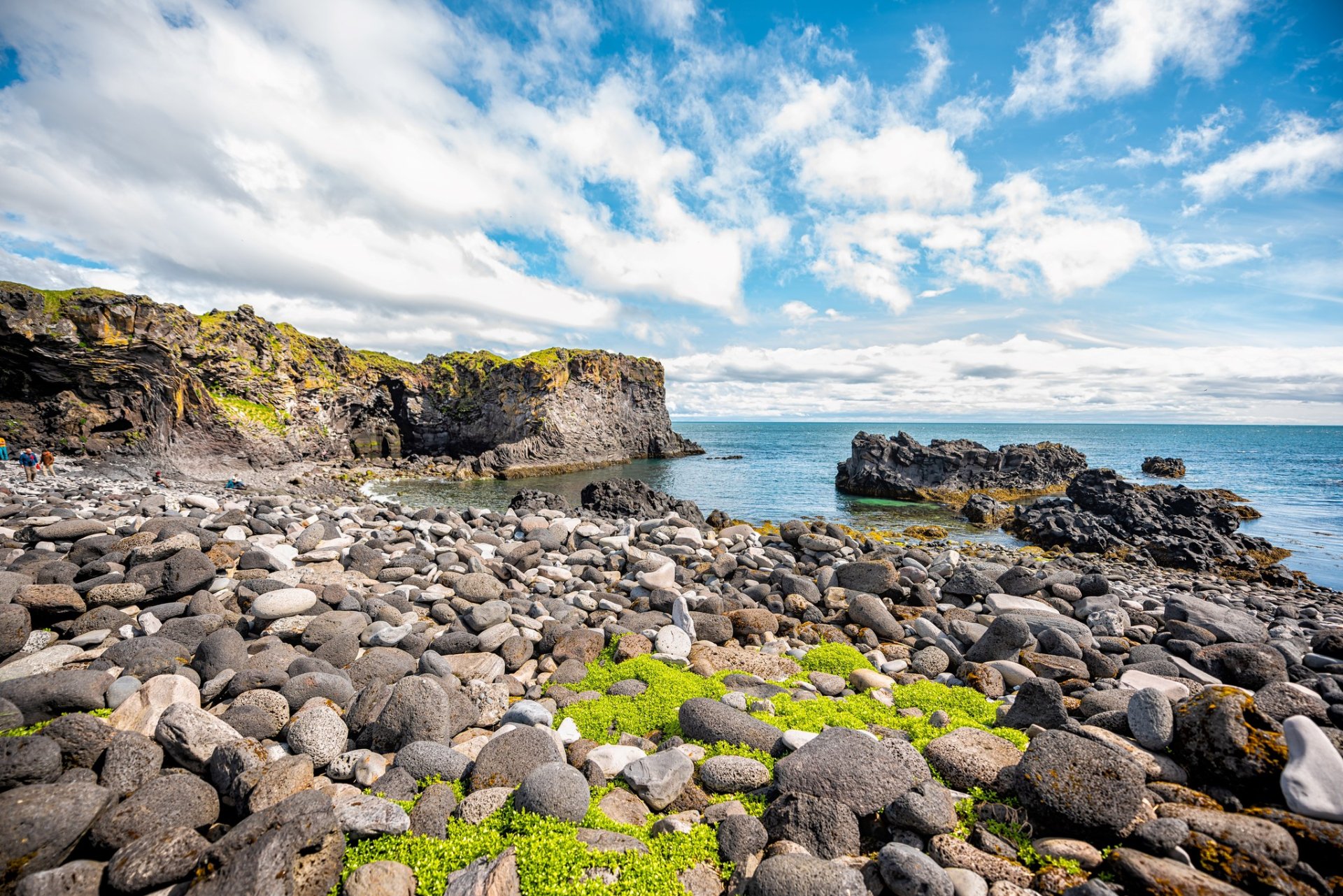 Stóri plokkdagurinn er sunnudaginn 30. apríl