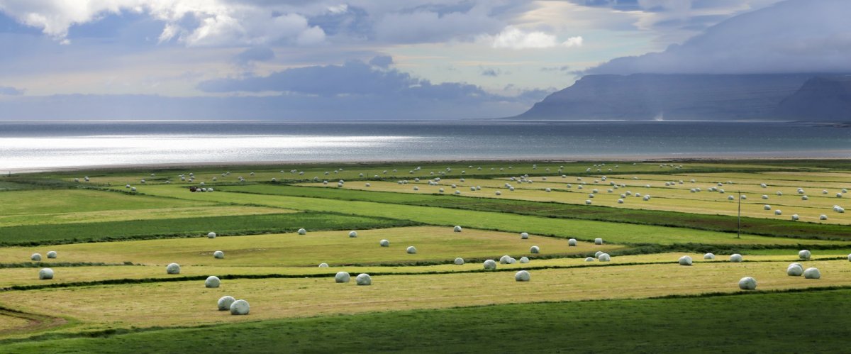 Söfnun á landbúnaðarplasti í Staðarsveit og Breiðuvík um helgina