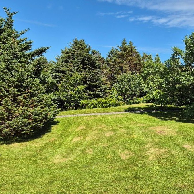 Aðalfundur Skógræktar- og landverndarfélagsins undir Jökli