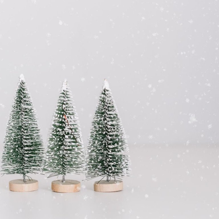 Jólagjöf til starfsfólks Snæfellsbæjar - gjafabréf